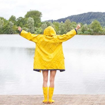 Webinar-Workbook: Peter Mandel – Strengthening of the Immune System